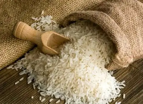 قیمت خرید برنج ایرانی مازندران + فروش ویژه
